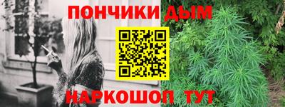 молекула духа Будённовск