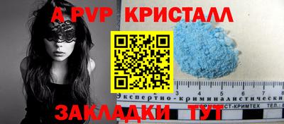 молекула духа Будённовск